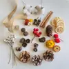 Virutas de Madera de Piña, Materiales de Cáscara de Fruta Seca de Bellota, Marcos para Espécimenes de Plantas, Kits de Materiales de Flores Secas Hechos a Mano para DIY, Decoraciones para Exhibición