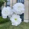3 Cabezas de Peonías de Luz de Luna, Flores Artificiales, Flores Falsas para Boda y Decoración del Hogar, Al Por Mayor