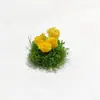 Miniaturas Mesas de Arena Realistas Ramilletes de Flores Grupos de Flores Grupos de Césped Modelos Paisajismo Materiales DIY Ramilletes de Flores Flores Secas Bloques de Flores