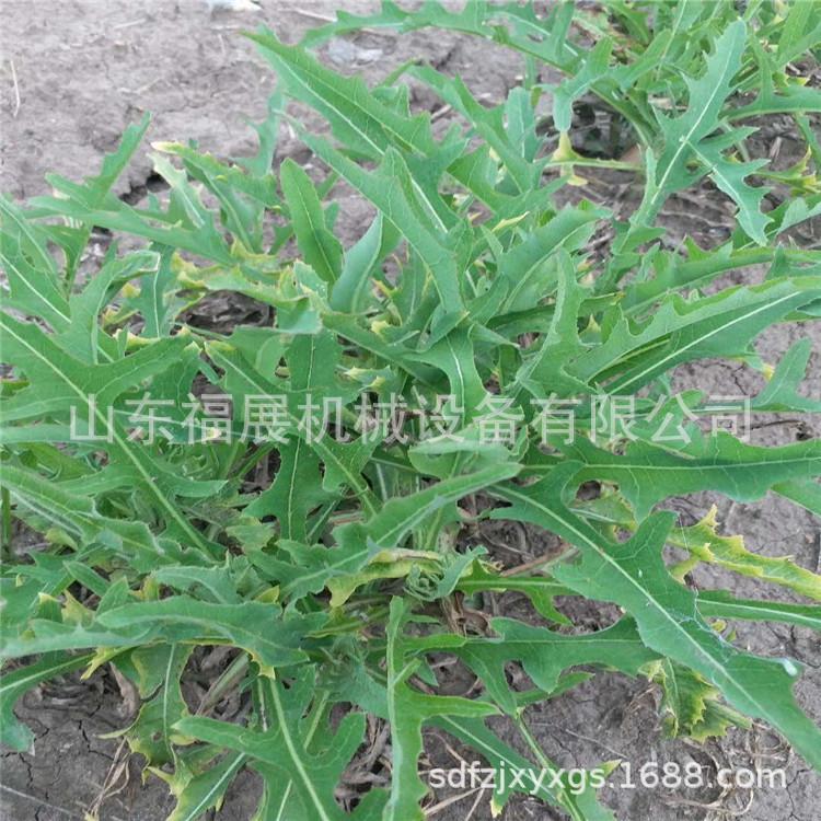 图片_20180709110208.jpg