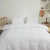 Exportación de productos de ropa de cama para comercio exterior, textiles para el hogar transfronterizos, juego de sábanas bajeras de color liso de fibra sintética para Amazon Japón, juego de cuatro piezas
