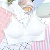 Nova linha sem costura renda volta enrolada chest tube top sem anel de aço sexy cruz camisole fundo cueca