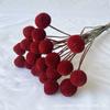 Bolas Doradas Secas al por Mayor de Fabricantes para Decoración del Hogar y Fotografía, Suministro Transfronterizo de Amazon de Ramos de Flores de Fruta Dorada Seca