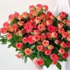 Dropshipping Plántulas de Rosa Multicabezal Burbuja de Alicia Flores de Rosa en Maceta Plantas Trepadoras Árbol Plantas Verdes