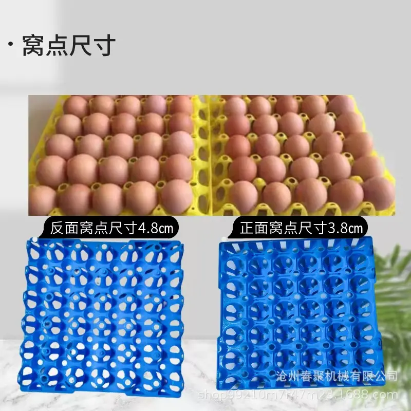 鸡蛋托优势1.jpg