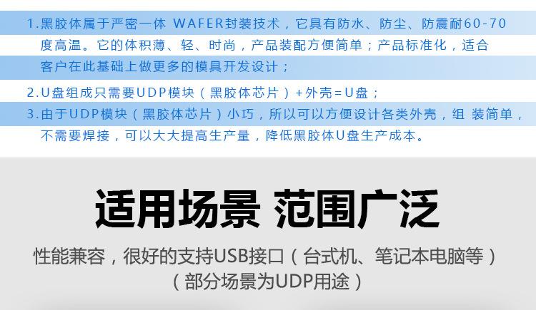 音乐U盘黑胶体