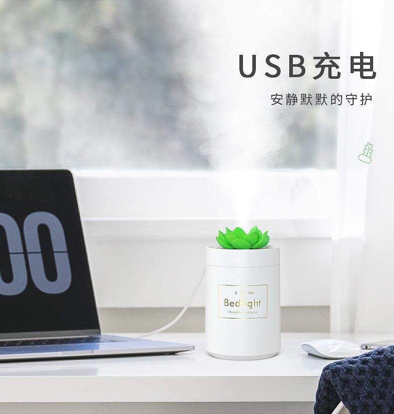 多肉加湿器_10.jpg