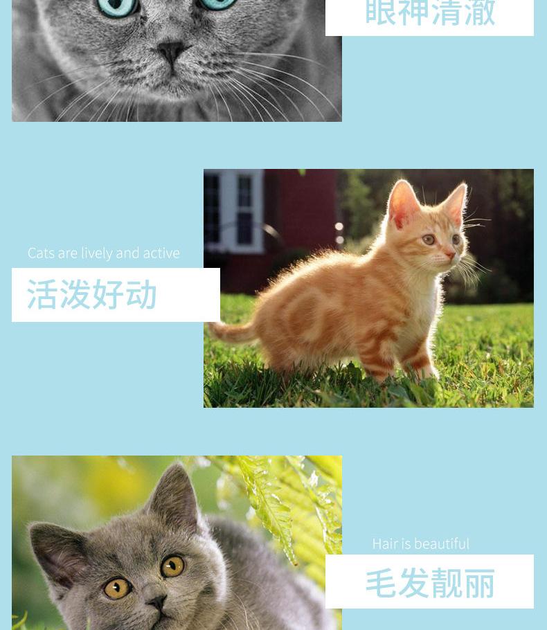 详情_10