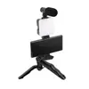 Iluminação de Mesa Multifuncional para Beleza de Pernas com Bolso Preenchedor de Luz e Conjunto de Microfone para Dslr Iluminação de Conferência