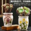Novo estilo vaso de flor suculenta vaso de cerâmica de pilha antiga calibre grande e pequeno vaso de flor suculenta retrô personalidade criativa simples vaso de flor de grés