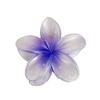 Secador de Cabelo à Beira-Mar ~ Cor Sereia Presilha Flor de Frangipani, Design Exclusivo, Super Fada Elegante, Estilo Férias Presilha Tubarão de Cabelo