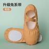Zapatos de baile para niñas, de suela blanda y sin cordones, con diseño de garra de gato, antideslizantes y resistentes al desgaste, para ballet y baile moderno.