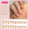 Uñas Postizas Ovaladas de Color Durazno de 24 Piezas, Venta Caliente Transfronteriza Europea y Americana, Dulces y Sencillas, Al Por Mayor en Stock