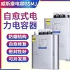 Grupo de eletrodomésticos Shanghai wieskang série BSMj capacitor de potência de compensação total trifásico 450V 1K-60K 450V