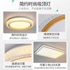 Luz Principal de Sala de Estar Minimalista Moderna 2026 Nuevo Modelo Lámpara de Techo Luz para Dormitorio Principal Luz de Habitación de Lujo Ligero Accesorios de Iluminación Zhongshan 357L