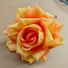 Cabezas de Flores Rizadas Pequeñas Reales de 10 cm, Rosas Pequeñas Simuladas de Estilo Europeo, Decoración de Pared de Flores para Boda, Flores Artificiales, Tela de Decoración para el Hogar