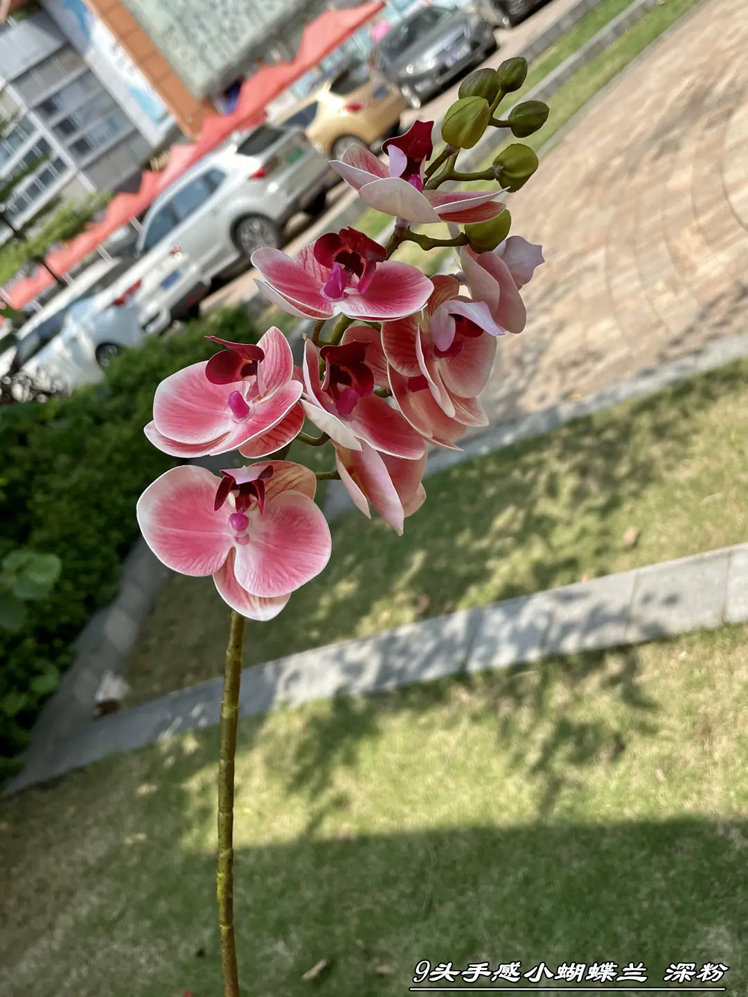 微信图片_20210724103039_副本.jpg