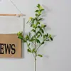 Planta verde artificial folhas de grãos de frutas folhas de lenha de arroz ornamentos de planta verde nórdica decoração de planta artificial planta verde arroz fruta esmeralda atacado