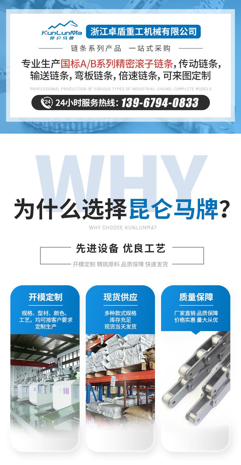 双节距输送链详情_01