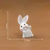 Paisaje en miniatura, figura linda de conejo zanahoria, adorables accesorios de decoración DIY para casa de muñecas, adornos en miniatura para escritorio