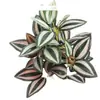 [Hierba Hoja de Ceja de 7 Cabezas] Plantas Verdes Simuladas Venta al por Mayor Flores Artificiales y Césped Artificial Decoración Individual para Paisajismo Plantas Artificiales para el Hogar