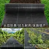 Tela anti hierba transfronteriza en stock tela para deshierbar huerto tela agrícola permeable transpirable negra pp tela para cubrir hierba película