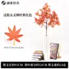 Ramas Artificiales de Arce Rojo de Cinco Puntas, Paisaje de Planta Verde Falsa, Ramas de Hojas de Arce de Flor Falsa de Plástico, Adornos Decorativos, Hojas de Árbol Falsas para Paisajismo