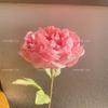 Nova simulação de borda de coque de flor rica peônia flor falsa flor peônia estilo francês convidado mentira flor de seda presente de casamento transfronteiriço