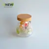 500ml atacado garrafa de desenho animado pote de plástico lanche de feijão dissolvido bola de espinheiro pote selado pote de comida garrafa de plástico transparente pet