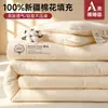 Novo enchimento de edredom de algodão de Xinjiang 2026, edredom de inverno espesso, edredom para primavera e outono, roupa de cama de algodão para uma pessoa para dormitórios, adequado para todas as estações
