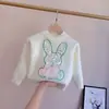 Ropa Infantil Suéter de Cuello Redondo para Niños Otoño 2026 Primavera Ropa de Punto para Niñas Prenda Base Suéter para Niños Pequeños Estilo Versátil