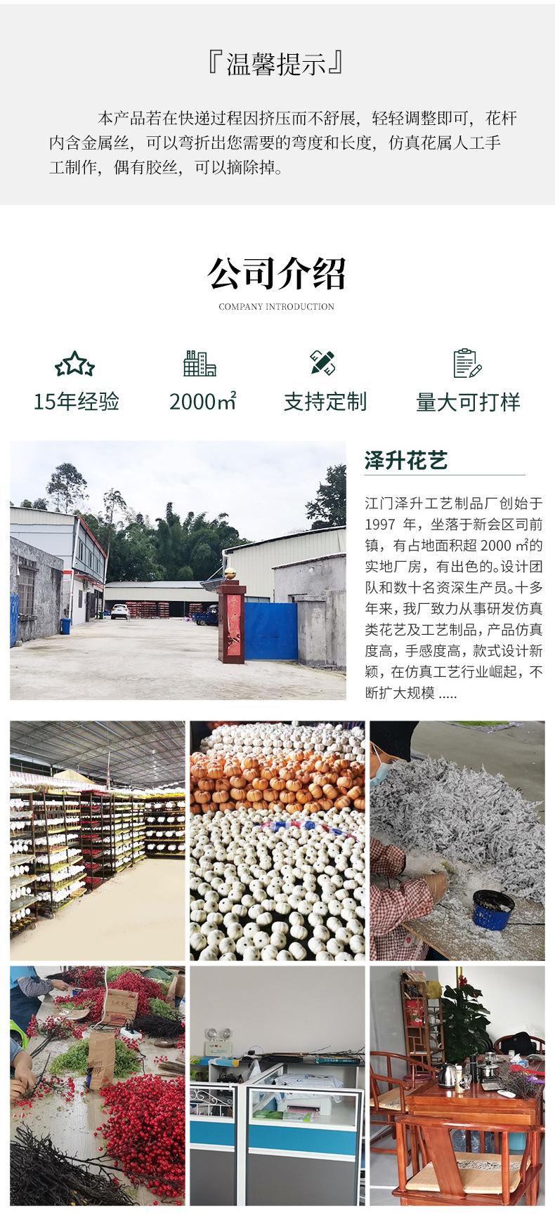 详情页改版_13.jpg