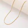 Colar Europeu Corrente de Cobra Redonda Flash Corrente de Clavícula de Luxo Leve Moda de Ponta Corrente Simples Lisa Colar Empilhável Unissex