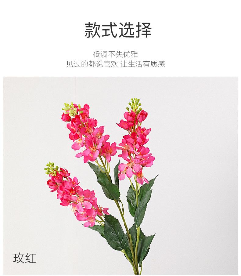 详情_05.jpg