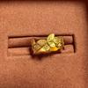 Explosiones de libro rojo anillo de mariposa de oro antiguo 2025 nuevo anillo de mariposa de hada de estilo chino una generación de cabello