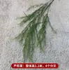 Atacado Transfronteiriço de Decoração de Paisagismo Interno Lu Xun Cao, Folhas de Planta Verde Lu Xun Cao, Grama Barba de Dragão Simulada Pequena Fresca Estilo Floresta