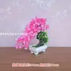 Flor de Simulação Pinheiro de Boas-Vindas Flor Artificial de Interior Pequeno Bonsai Planta em Vaso de Plástico Ornamento de Mesa Decorações para Mesa de Café em Casa Armário de Vinho