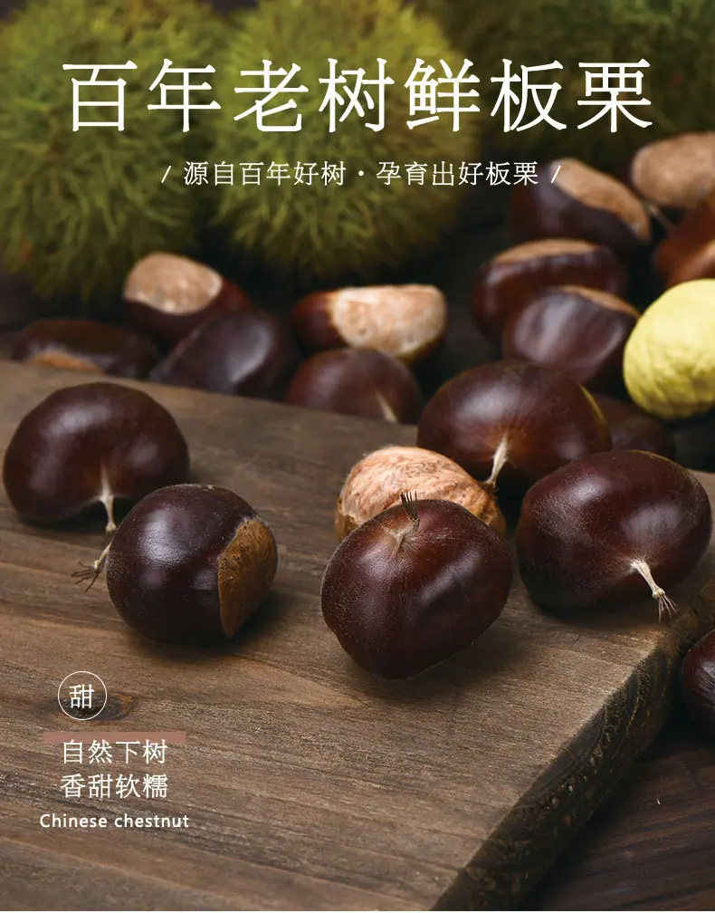 新老树_02.jpg