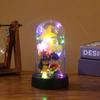 Adornos Decorativos Transparentes Brillantes de Nuevo Modelo Transfronterizos para Pedidas de Mano, Regalos de Boda, Adornos de Mesa con Cubierta de Plástico, Luces Nocturnas al por Mayor