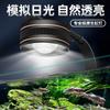 Lámpara LED ecológica original para pecera, lámpara de explosión de algas para tanque de corriente, foco de luz descendente de espectro completo, lámpara ornamental especial para pecera de hierba acuática.