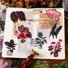 Paquete de Pegatinas Impermeables para Mascotas, Hojas de Plantas Retro de Alto Valor Decorativas para Manualidades, Diario, Material