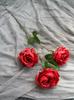 Rosa artificial con pintura al óleo de 3 cabezas, rosa de acacia para bodas, decoración de ventanas del hogar, flores de seda, foto de camino, flor falsa.