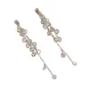 Exquisitos pendientes de borla de racimo de uvas de circón, aguja S925 de plata ultra-fairy, elegantes pendientes largos colgantes, pendientes de diseño nicho para mujer