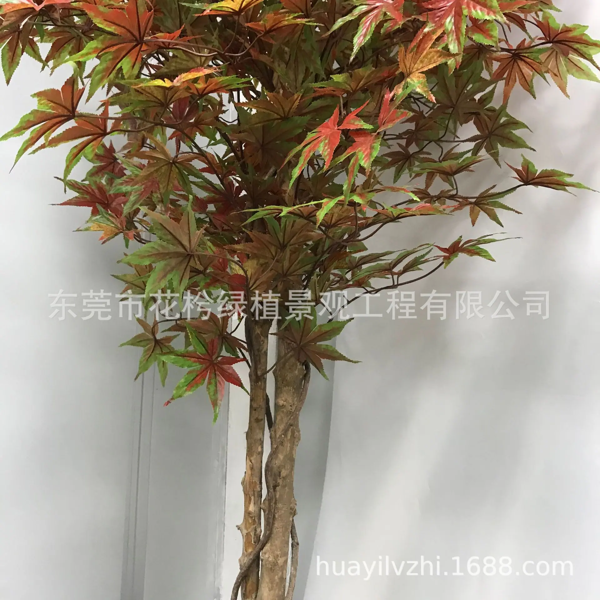 微信图片_2021052809445330