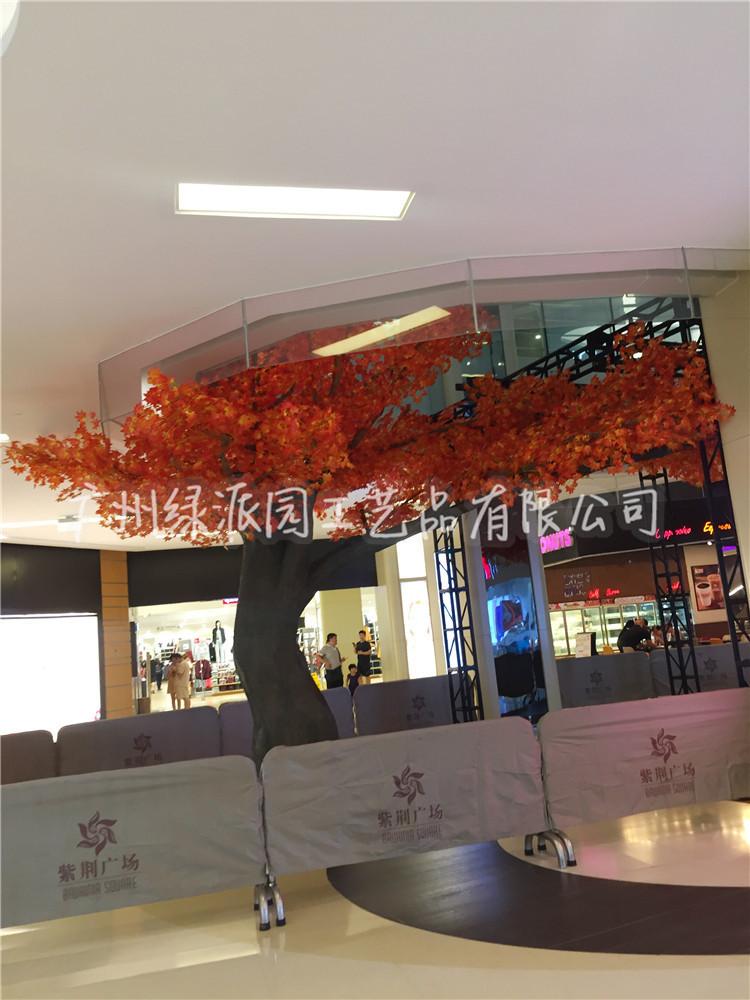 枫树红枫树绿枫141.jpg