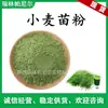 Fornecimento em Estoque: Pó de Grama de Trigo, Pó de Suco de Grama de Trigo, Pó Verde Solúvel em Água, Fornecido pela Fábrica de Extratos Vegetais