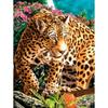 Pintura Diamante 5D Llena de Diamantes Animal León Bordado Diamante DIY Diamante Redondo Punto de Cruz Pintura Diamante Hecha a Mano Pintura Decoración Hogar