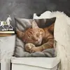 Funda de Cojín para Sofá Transfronteriza, Felpa Corta Amigable con la Piel, Linda Funda de Cojín de Animal Gato, Funda de Cojín para Sala de Estar, No Incluye Relleno