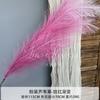 Caña de Simulación Artificial Pampas Hierba Cola de Perro Pampas Decoración de Ventana Utilería de Fotografía Boda Hogar Pluma Rosa
