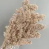 Flor eterna esponjosa pino de Navidad decoración del hogar con flores ramo de flores flotantes DIY con materiales fabricantes de Yunnan al por mayor